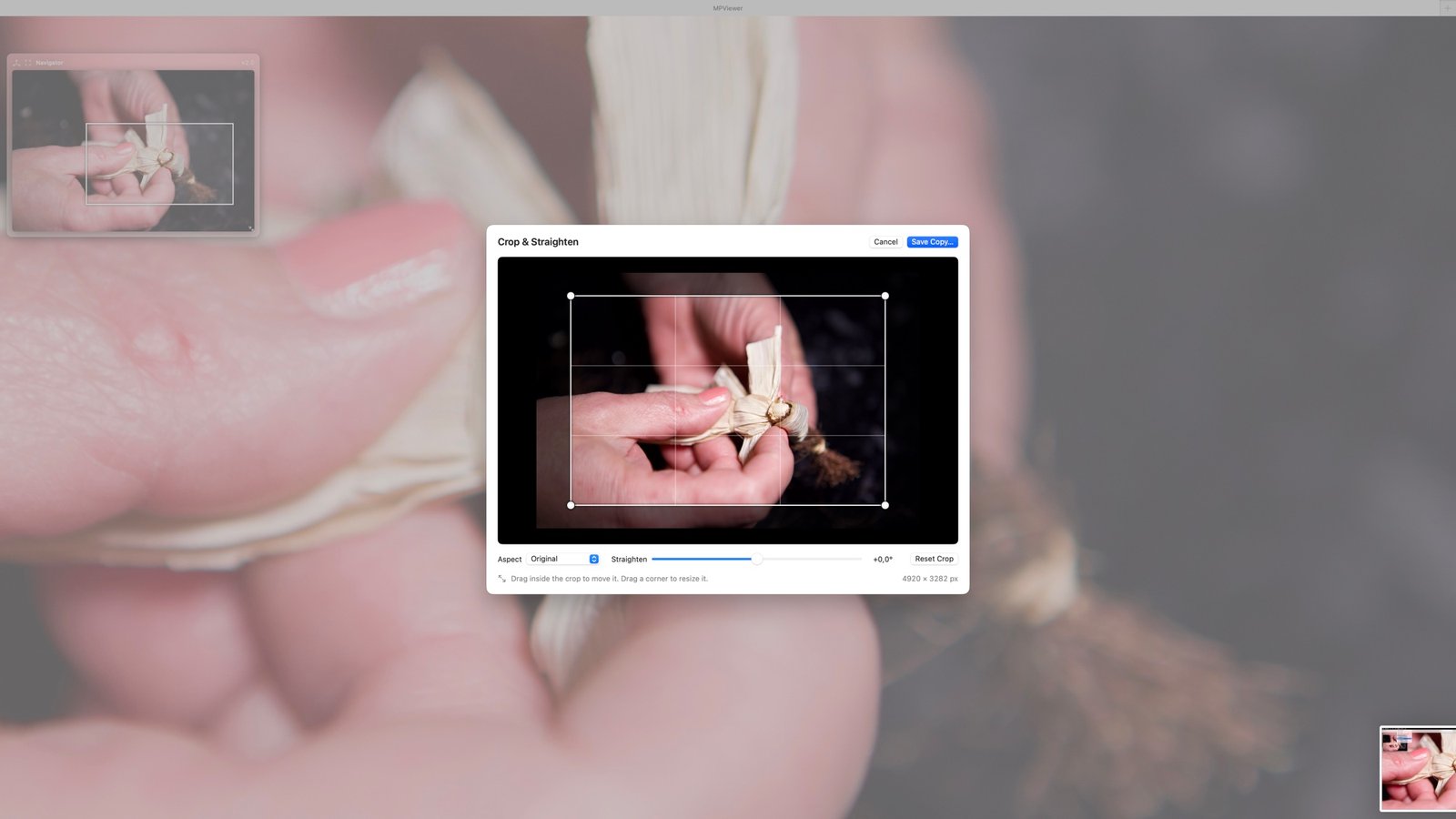 MPViewer Crop and Straighten workspace with adjustable crop handles and aspect ratio controls